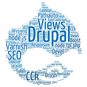 Drupal Development